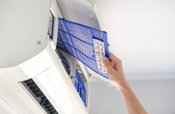 Best Professional Duct Cleaning Services  in Morenci, MI