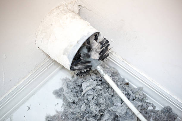 Best Air Duct Cleaning Near Me  in Morenci, MI