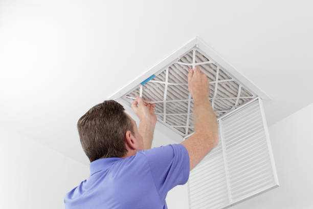 Best Home Air Vent Cleaning  in Morenci, MI